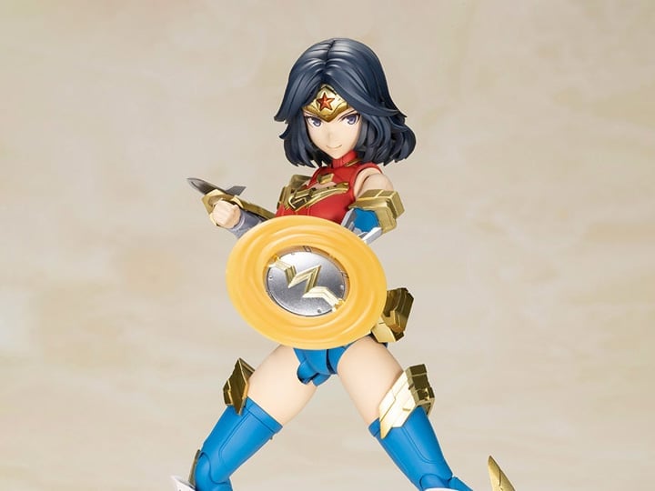 DC Comics Cross Frame Girl Wonder Woman (Another Color Humikane