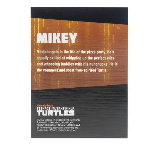 Teenage Mutant Ninja Turtles BST AXN (IDW Comic Black & White) SDCC 2023 Exclusive Figure Set Gallery Image 12