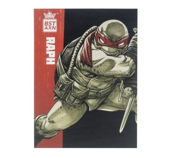 Teenage Mutant Ninja Turtles BST AXN (IDW Comic Black & White