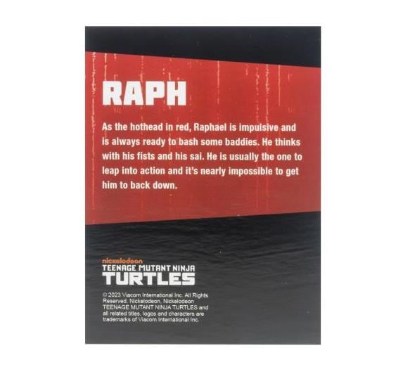 Teenage Mutant Ninja Turtles BST AXN (IDW Comic Black & White) SDCC 2023 Exclusive Figure Set Gallery Image 20