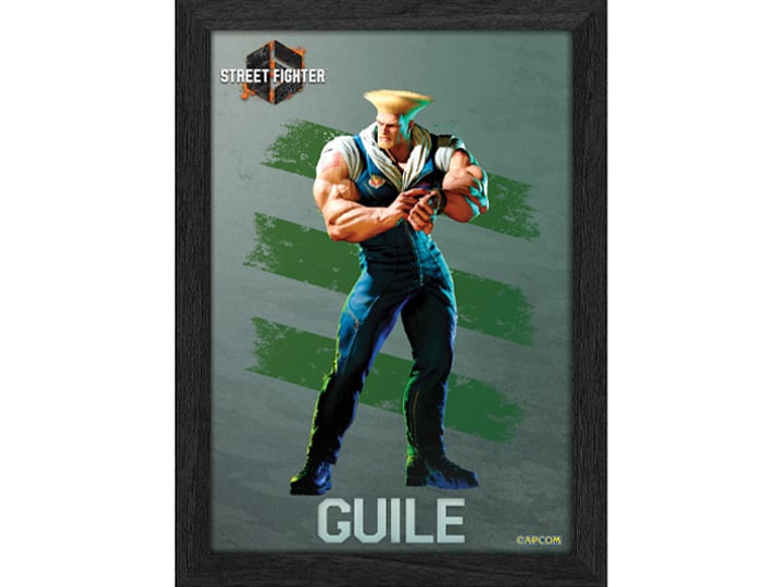 Street Fighter 6 PLAX Guile Lenticular Frame Gallery Image 1