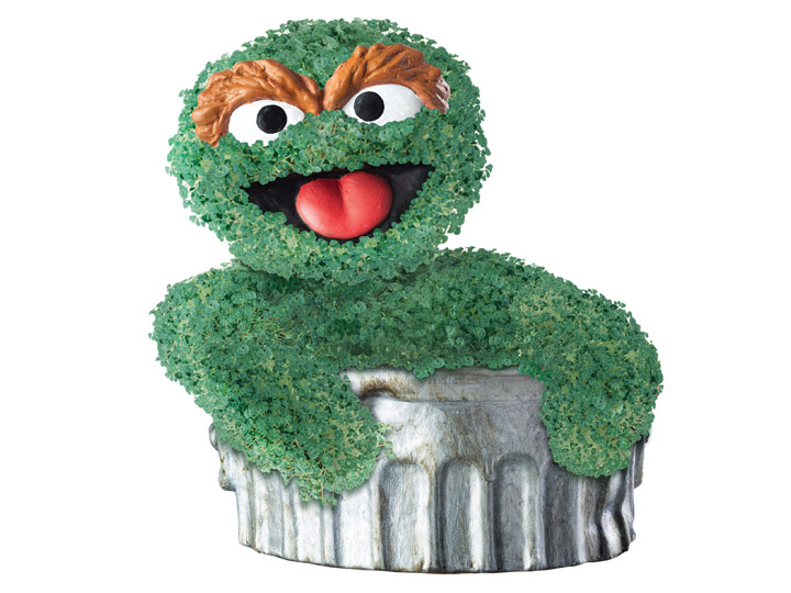 Sesame Street Oscar the Grouch Chia Pet Gallery Image 1