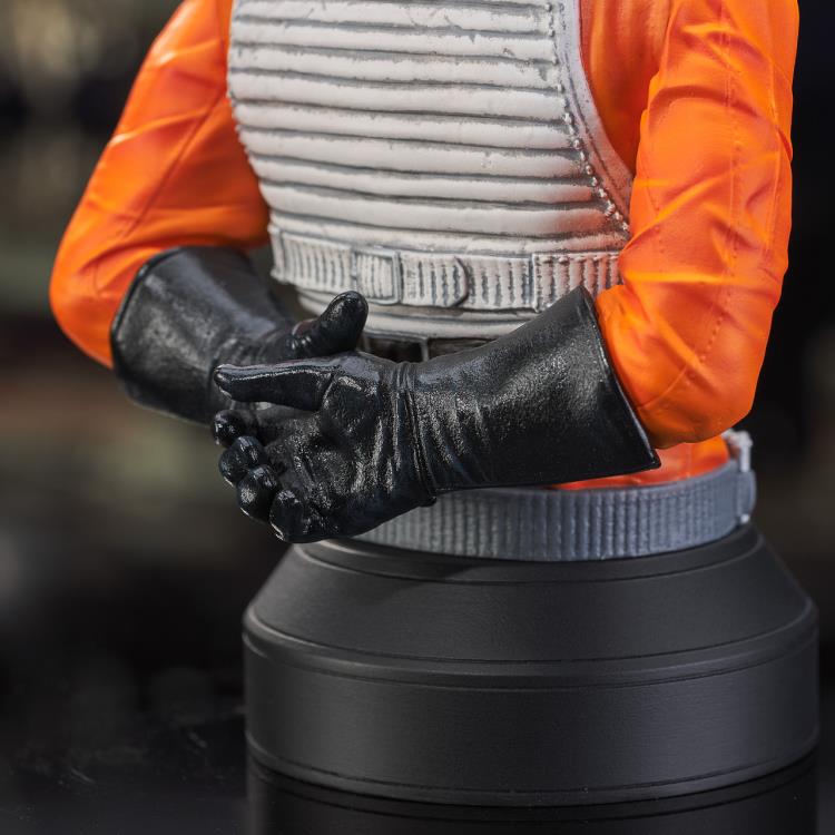 Star Wars: A New Hope Red Leader (Garven Dreis) 1/6 Scale Limited Edition Mini Bust Gallery Image 12