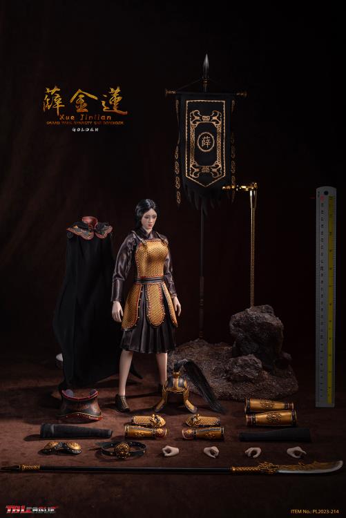 Grand Tang Dynasty She Defender Xue Jinlian 1/6 Scale Figure Gallery Image 22