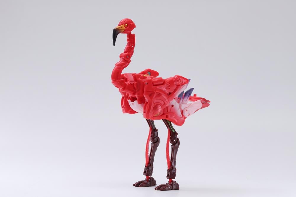 BeastBOX BB-53CL Roseus Gallery Image 5