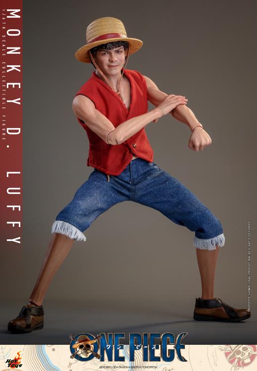 One Piece TMS109 Monkey D. Luffy 1/6th Scale Collectible Figure Gallery Image 11