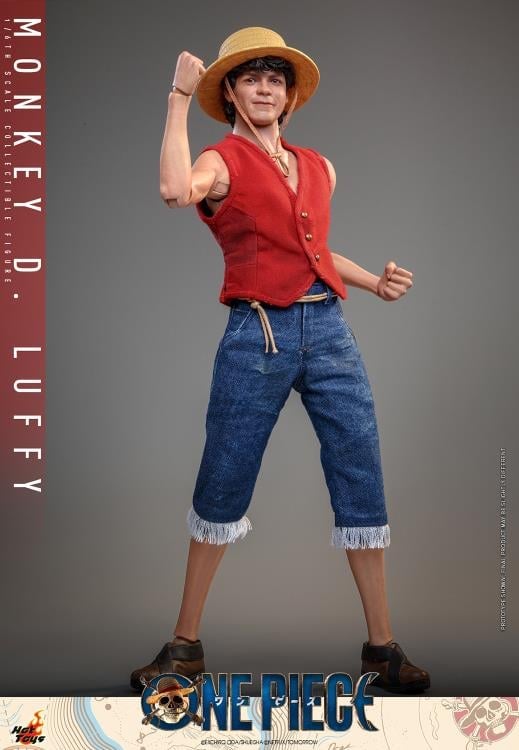 One Piece TMS109 Monkey D. Luffy 1/6th Scale Collectible Figure Gallery Image 10