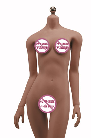 Super-Flexible Female Seamless 1/6 Scale Dark Brown Skin Medium Bust Body (S01B/Attached Feet) Gallery Image 2