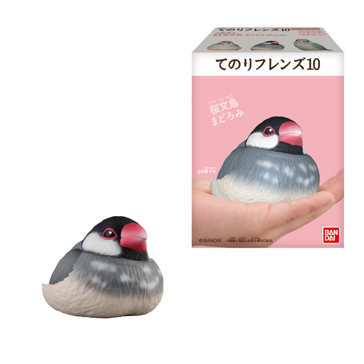 Shokugan Tenori Friends Birds Vol.10 Boxed Set of 12 Figures