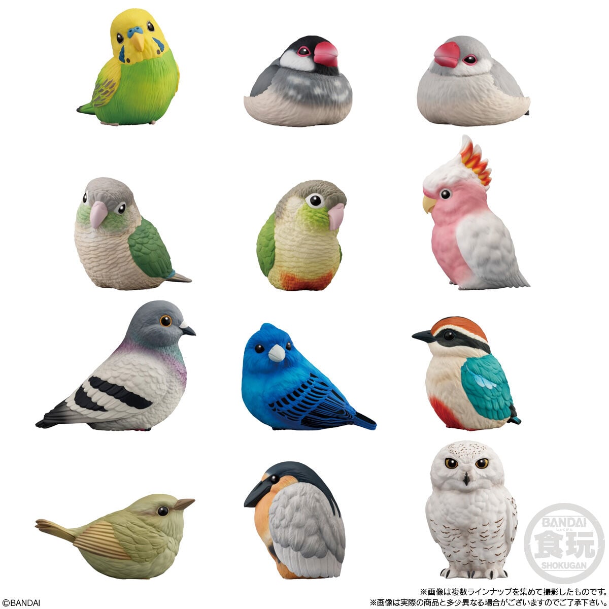 Shokugan Tenori Friends Birds Vol.10 Boxed Set of 12 Figures