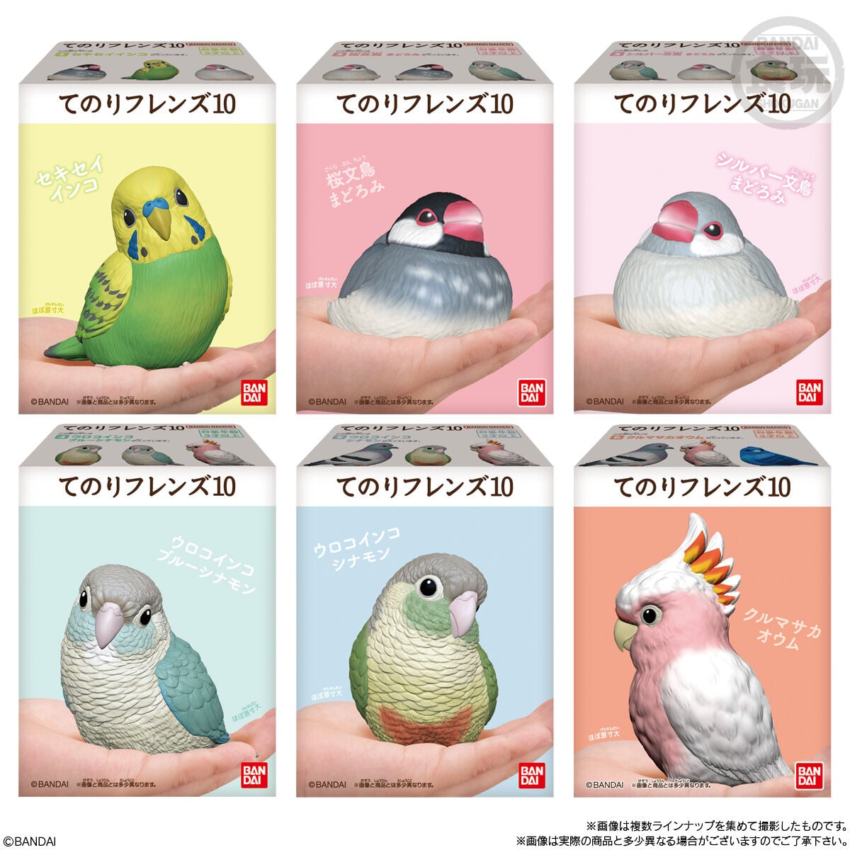 Shokugan Tenori Friends Birds Vol.10 Boxed Set of 12 Figures
