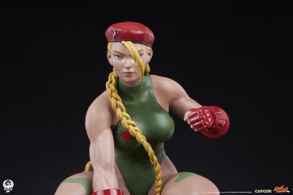 Street Fighter Street Jam Cammy and Birdie 1/10 Scale Statue Set Gallery Image 31