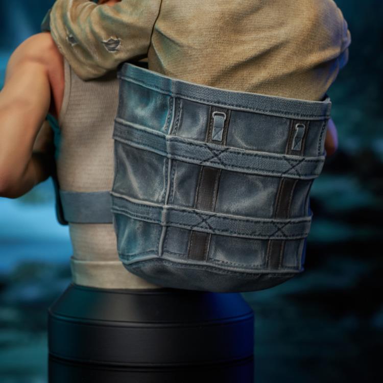 Star Wars: The Empire Strikes Back Luke with Yoda 1/6 Scale Limited Edition Bust Gallery Image 13