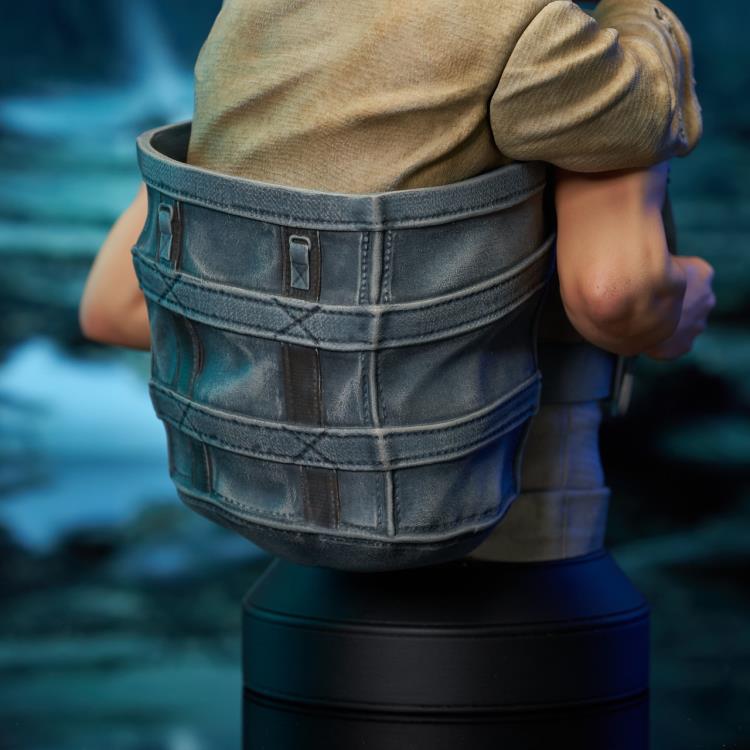 Star Wars: The Empire Strikes Back Luke with Yoda 1/6 Scale Limited Edition Bust Gallery Image 12