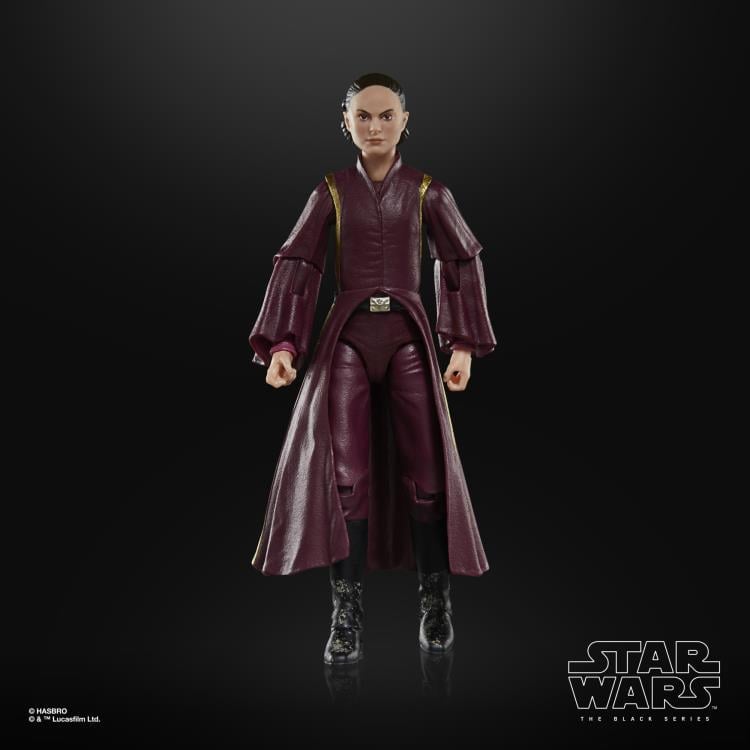 Star Wars 25th Anniversary The Black Series 6" Padme Amidala (The Phantom Menace) Gallery Image 6
