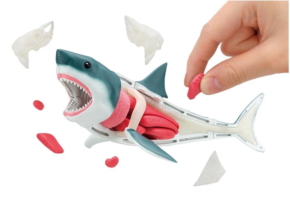 Great White Shark Kaitai Puzzle Gallery Image 5