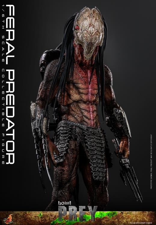 Prey TMS114 Feral Predator 1/6th Scale Collectible Figure Gallery Image 8