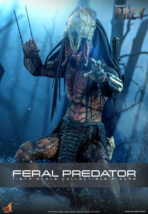 Prey TMS114 Feral Predator 1/6th Scale Collectible Figure Gallery Image 12