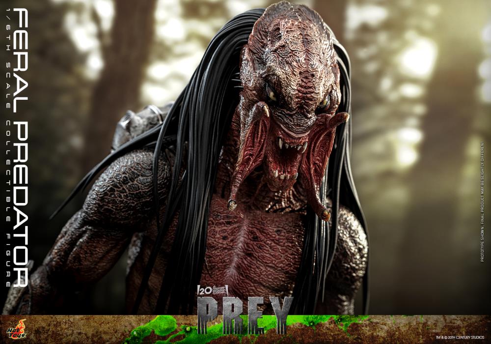 Prey TMS114 Feral Predator 1/6th Scale Collectible Figure Gallery Image 21