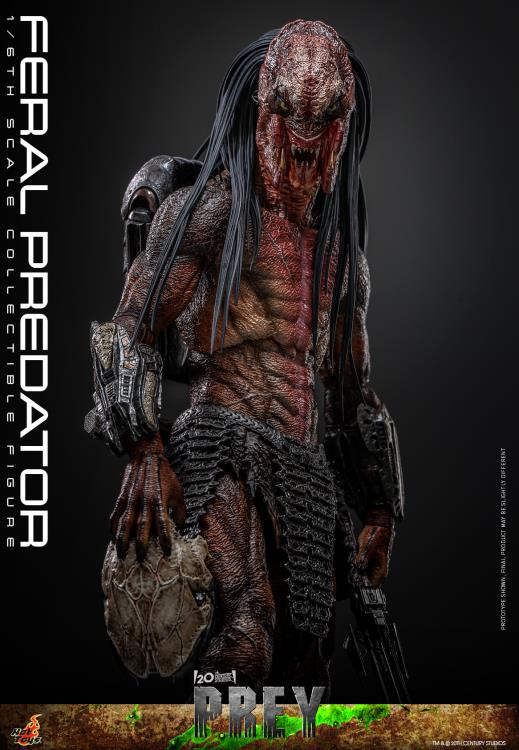 Prey TMS114 Feral Predator 1/6th Scale Collectible Figure Gallery Image 7