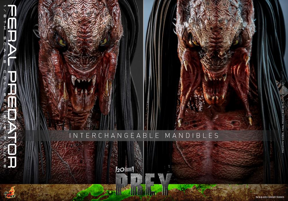 Prey TMS114 Feral Predator 1/6th Scale Collectible Figure Gallery Image 11