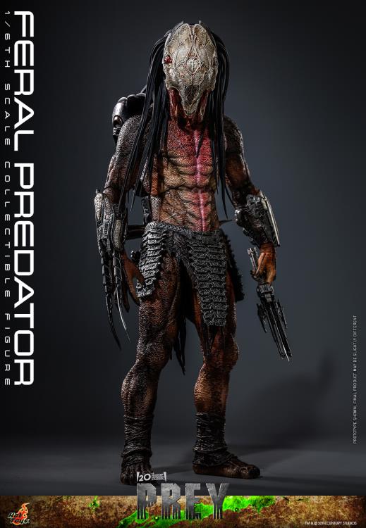 Prey TMS114 Feral Predator 1/6th Scale Collectible Figure Gallery Image 4