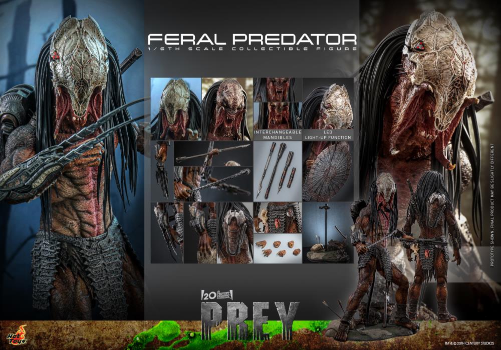 Prey TMS114 Feral Predator 1/6th Scale Collectible Figure Gallery Image 22
