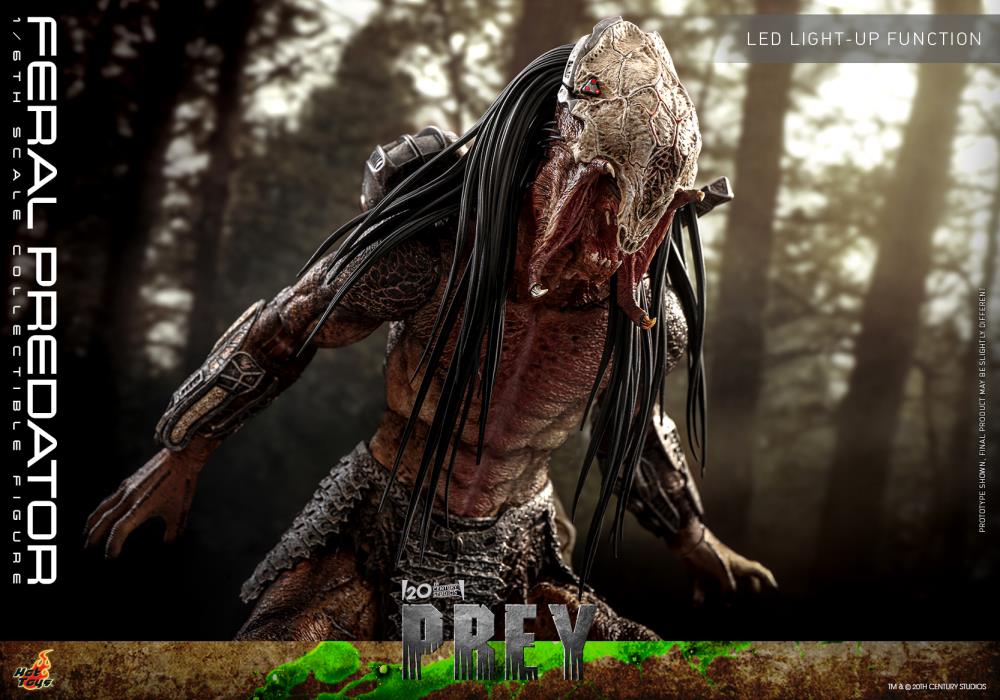 Prey TMS114 Feral Predator 1/6th Scale Collectible Figure Gallery Image 20