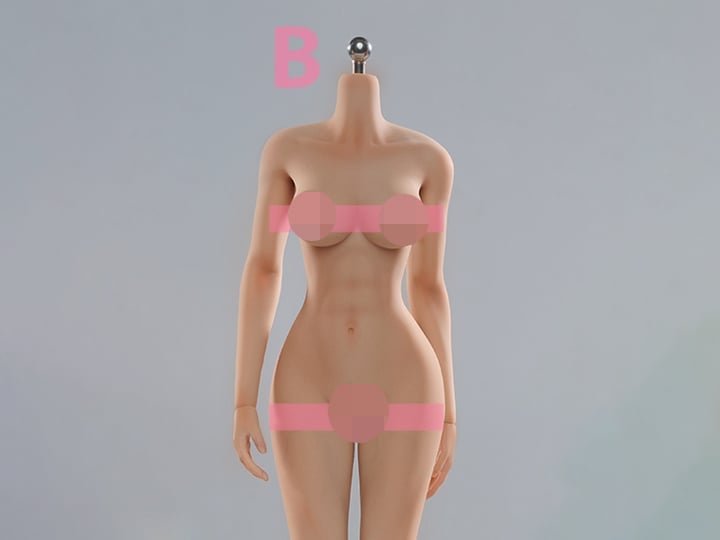 Universal Female 1/6 Scale Medium Bust Body (VCD-01B Regular Complexion) Gallery Image 1