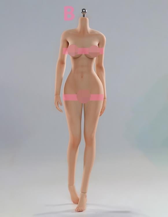 Universal Female 1/6 Scale Medium Bust Body (VCD-01B Regular Complexion) Gallery Image 3
