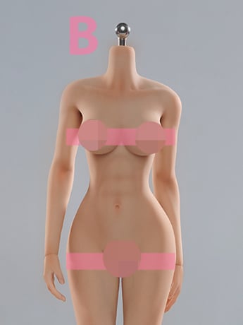 Universal Female 1/6 Scale Medium Bust Body (VCD-01B Regular Complexion) Gallery Image 2