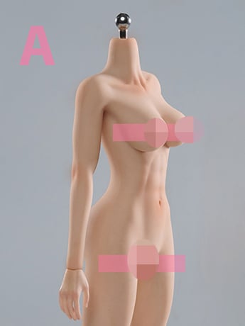 Universal Female 1/6 Scale Medium Bust Body with Feet (VCD-02A Fair Complexion) Gallery Image 2