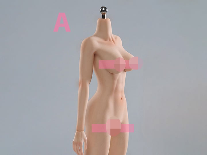 Universal Female 1/6 Scale Medium Bust Body with Feet (VCD-02A Fair Complexion) Gallery Image 1