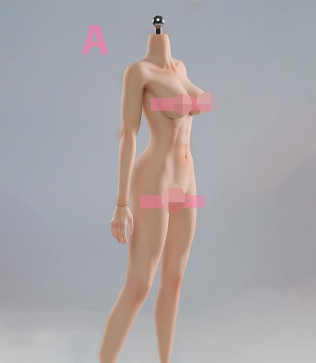 Universal Female 1/6 Scale Medium Bust Body with Feet (VCD-02A Fair Complexion) Gallery Image 3