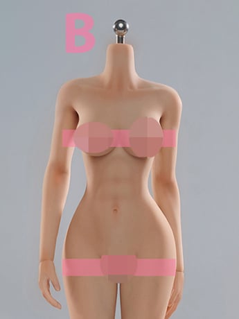 Universal Female 1/6 Scale Medium Bust Body with Feet (VCD-02B Regular Complexion) Gallery Image 2