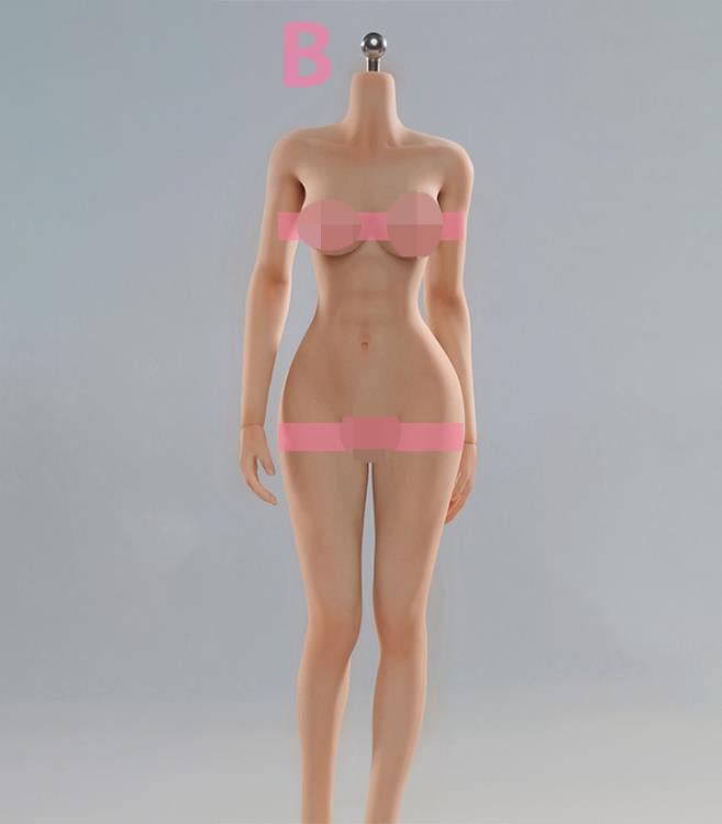 Universal Female 1/6 Scale Medium Bust Body with Feet (VCD-02B Regular Complexion) Gallery Image 3
