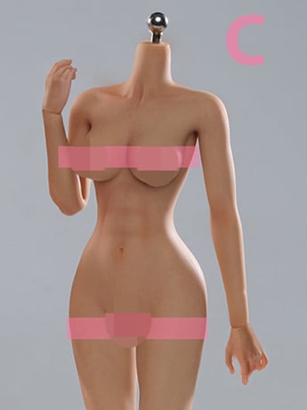 Universal Female 1/6 Scale Medium Bust Body with Feet (VCD-02C Wheat Complexion) Gallery Image 2