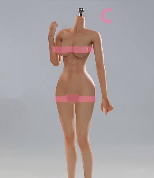 Universal Female 1/6 Scale Medium Bust Body with Feet (VCD-02C Wheat Complexion) Gallery Image 3