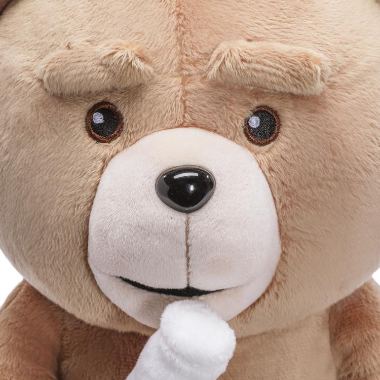 Ted 13