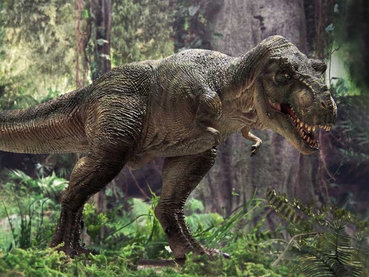 Jurassic Park III Prime Collectible Figures Tyrannosaurus Rex 1/38