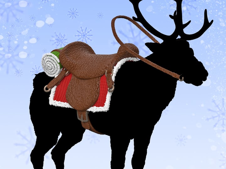 Naughty or Nice Collection Reindeer Saddle BBTS Exclusive Accessory Pack Gallery Image 1