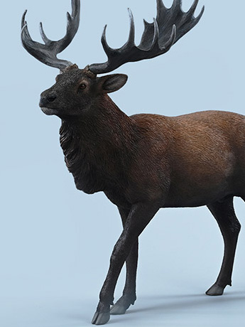 Reindeer (A) 1/6 Scale Figure Gallery Image 2