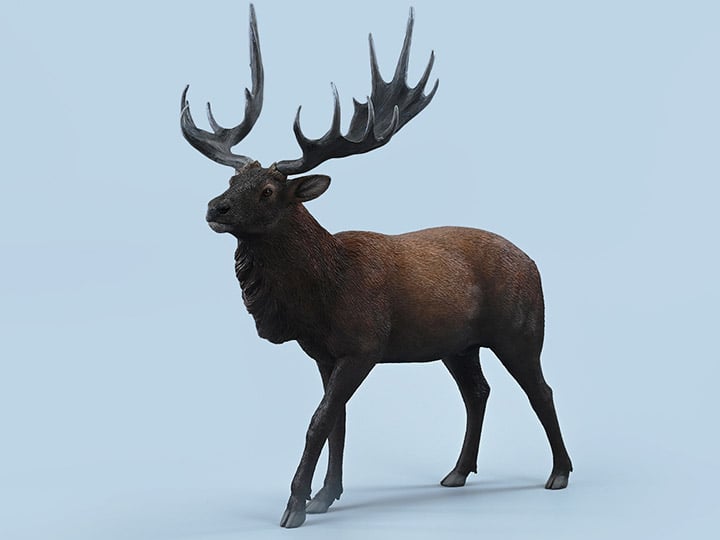 Reindeer (A) 1/6 Scale Figure Gallery Image 1