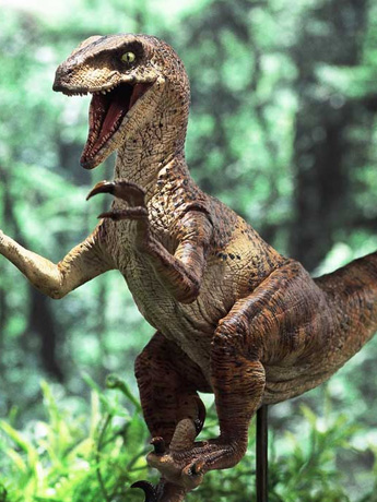 Velociraptor emplumado Modelo réplica a tamaño real Hembra - México