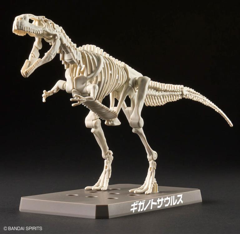 Plannosaurus Giganotosaurus Model Kit Gallery Image 10