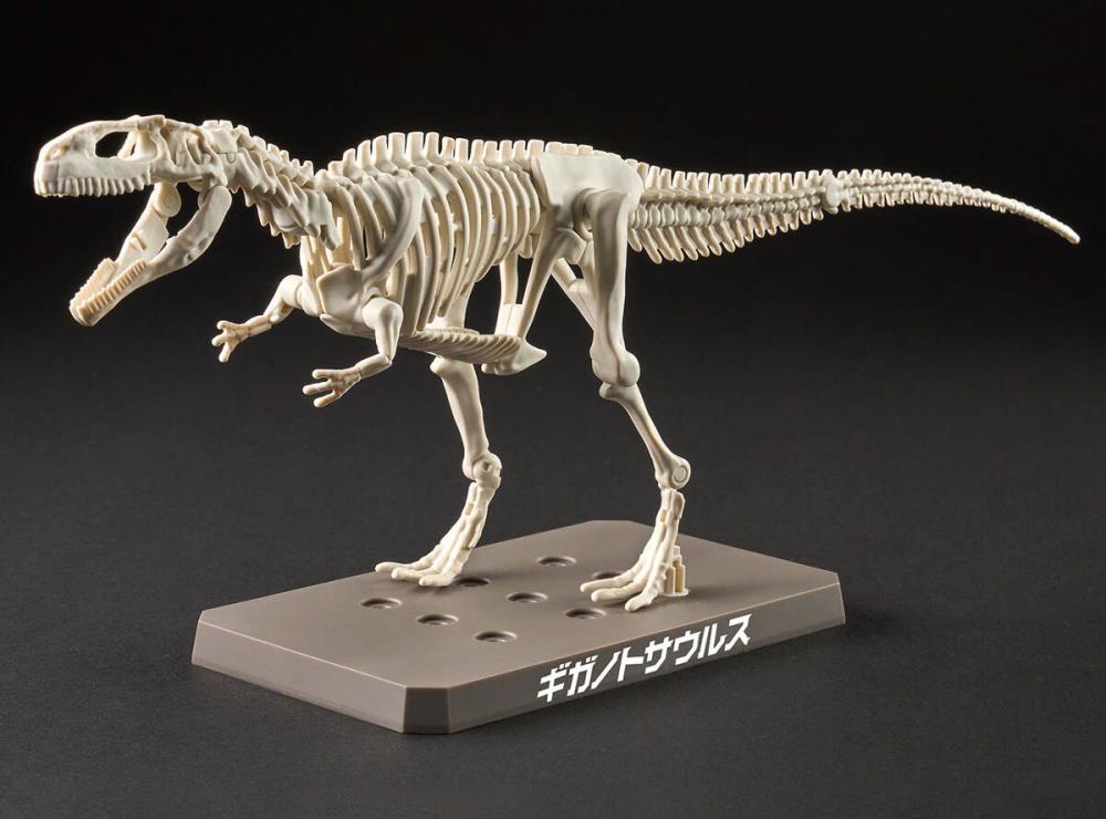 Plannosaurus Giganotosaurus Model Kit Gallery Image 11