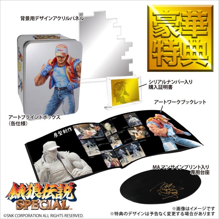 The King of Fighters The King of Collectors '24 Special Terry Bogard (Pixel Art Color Ver.) Gallery Image 20
