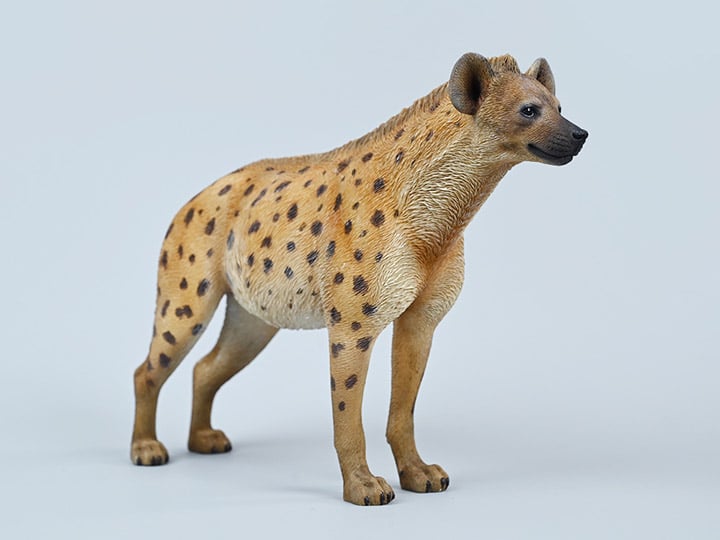 Hyena (A2) 1/6 Scale Figure