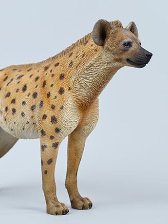 Hyena (A2) 1/6 Scale Figure