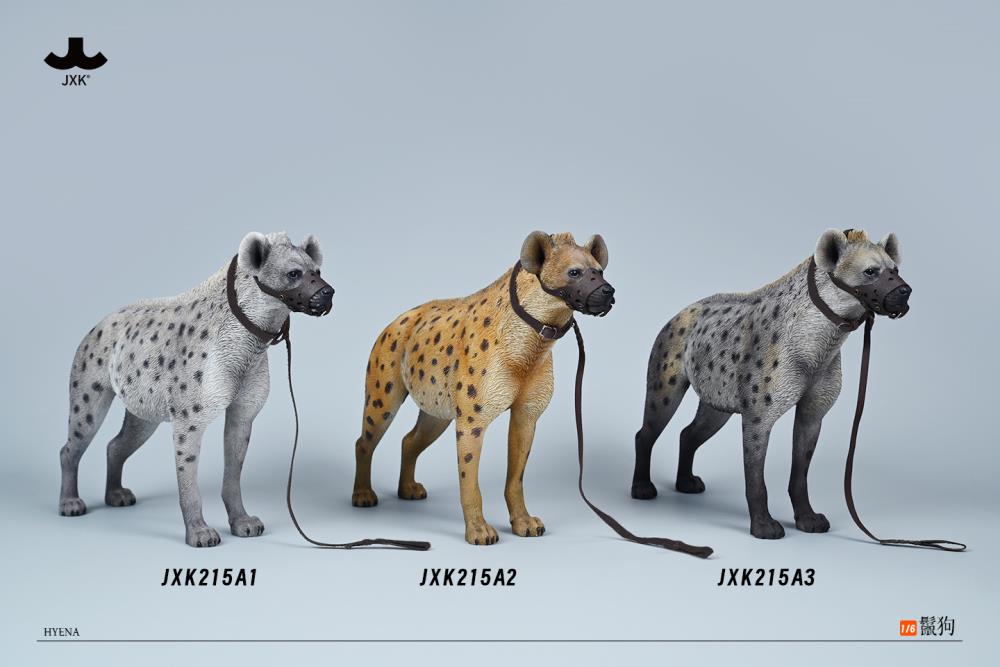 Hyena (A3) 1/6 Scale Figure Gallery Image 7